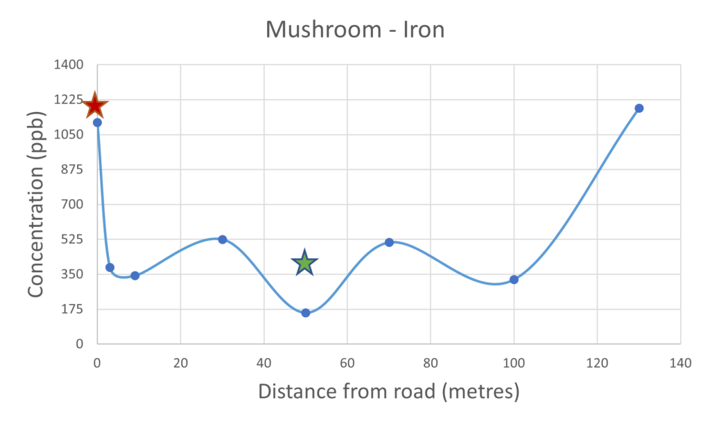Mushroom Iron
