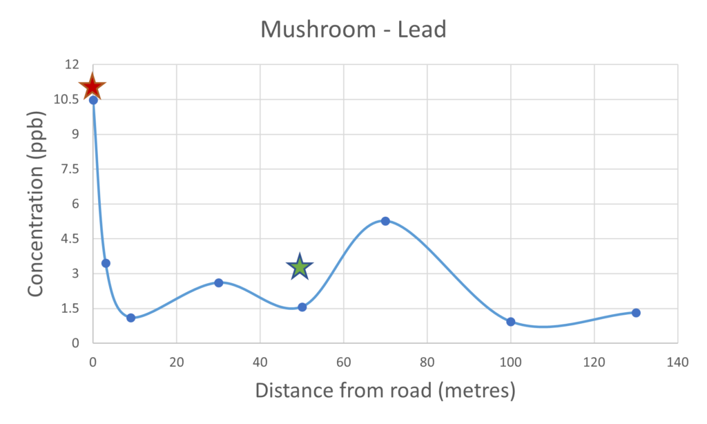 Mushroom Lead