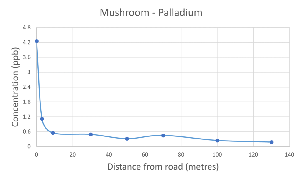 Mushroom Palladium