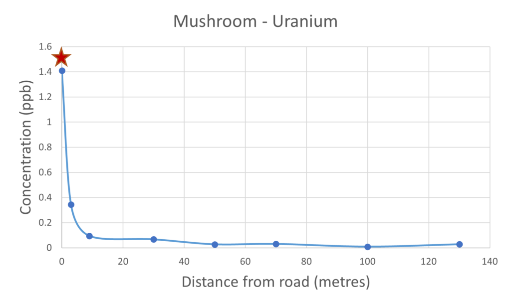 Mushroom Uranium